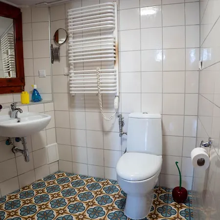 Retro Wooden Touch Apartment Szczecin